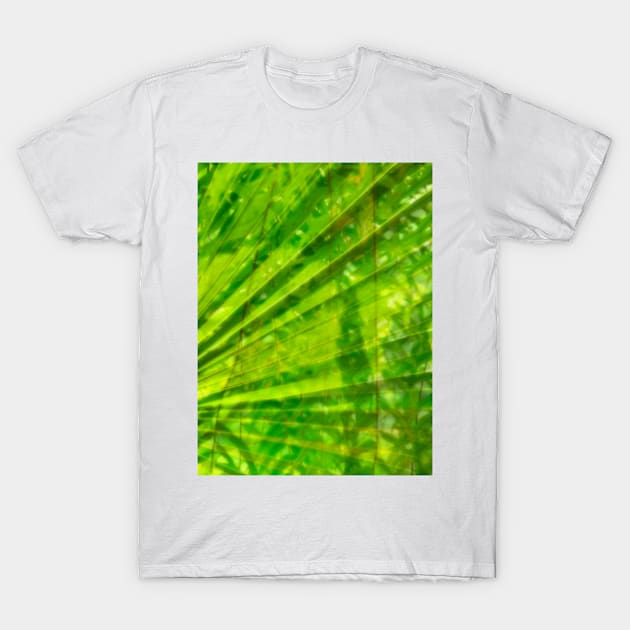 Cambodian Foliage T-Shirt by Femaleform